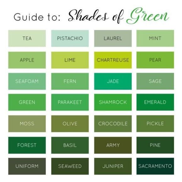 Zenobia 100% Virgin Wool Green Textured Pintuck Blazer Pear Green Size 8 - Picture 3 of 11